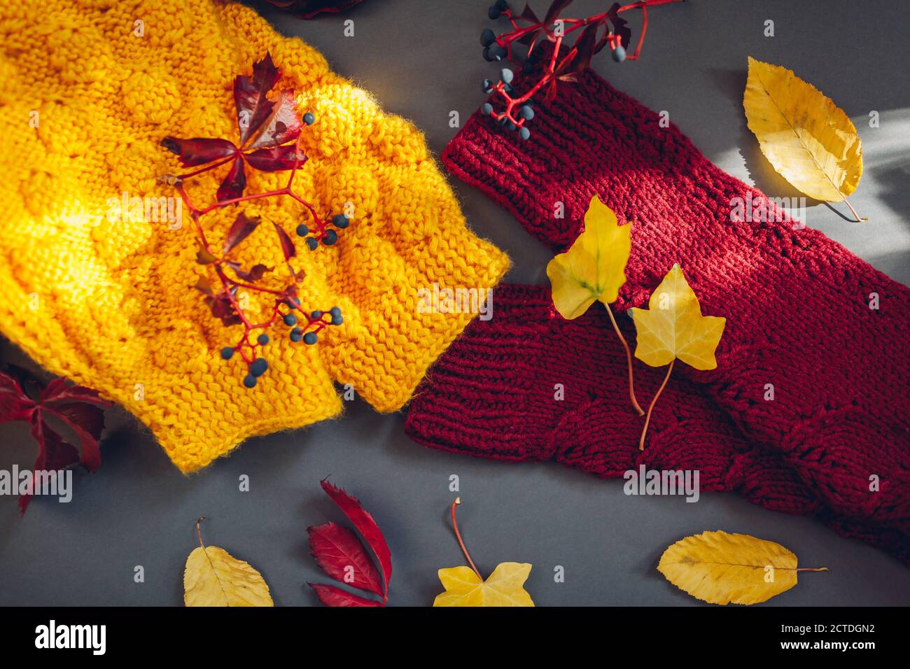 Abiti autunnali. Maglione giallo e bordeaux ricoperto di foglie e bacche. Disposizione piatta, vista dall'alto Foto Stock