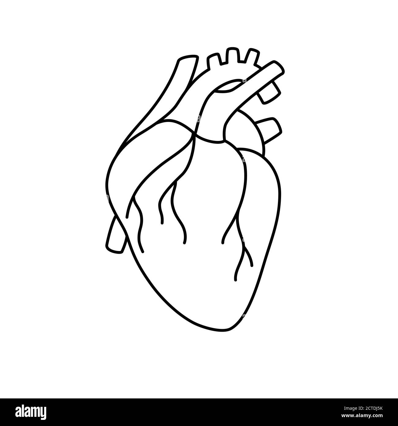 Cuore anatomico isolato. Segnale del centro diagnostico cardiologico. Design piatto con cuore sagomato umano. Illustrazione dell'anatomia della scienza medica. Illustrazione Vettoriale