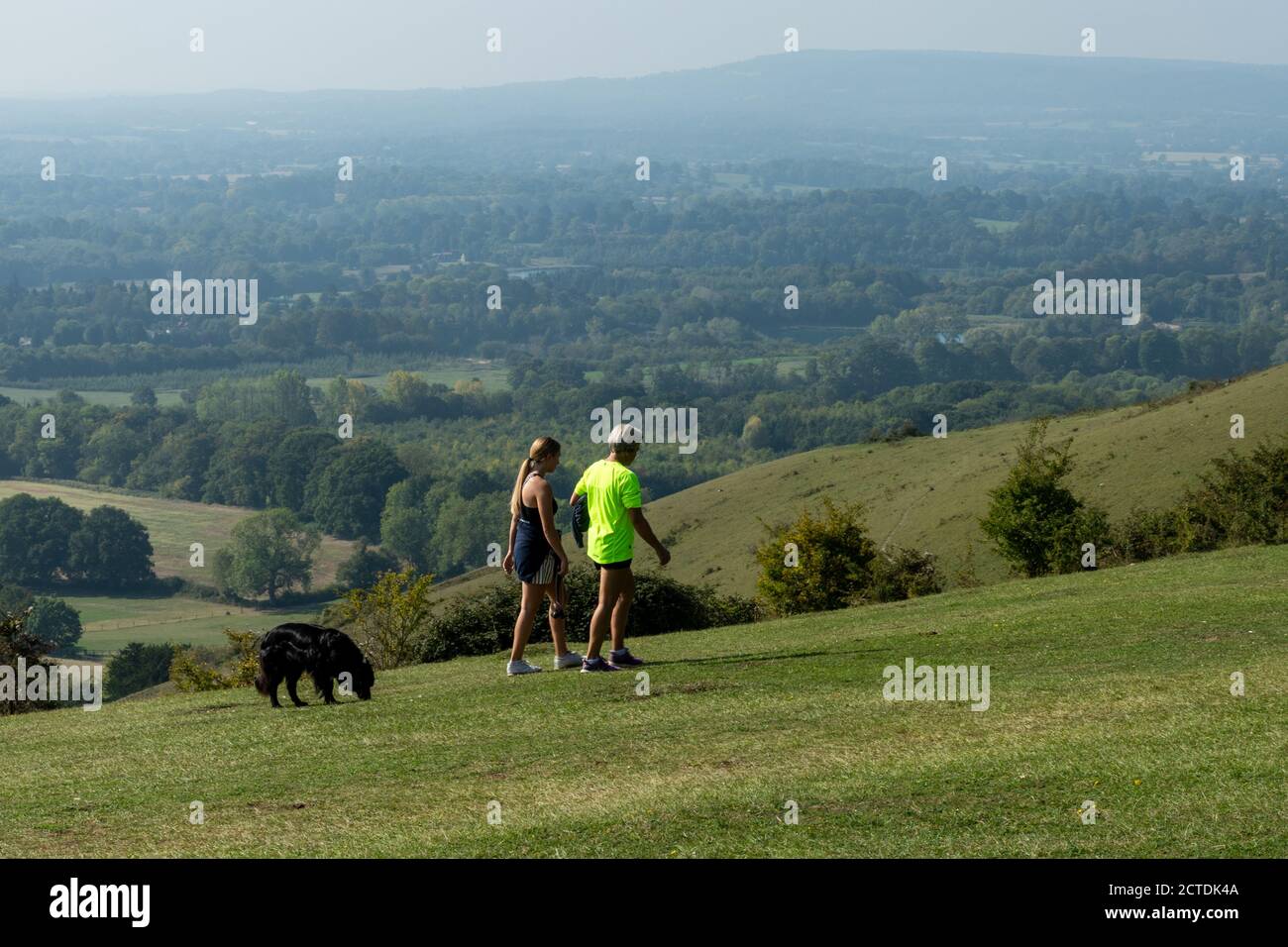 Dog Walkers su Reigate Hill nella zona di Surrey Hills di eccezionale bellezza naturale, Regno Unito Foto Stock