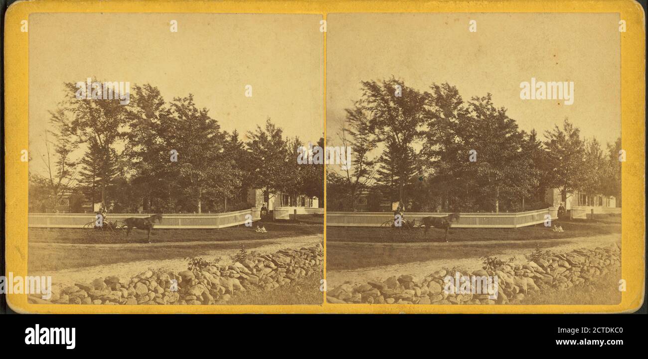Vista di un buggy su una strada residenziale., immagine, Stereographs, 1850 - 1930, Putnam, George T., 1851 Foto Stock