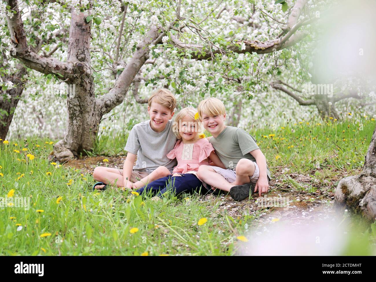 Tre bambini felici, fratelli e loro sorella, sorridono mentre si siedono fuori sotto gli alberi di mele in un giorno di primavera. Foto Stock