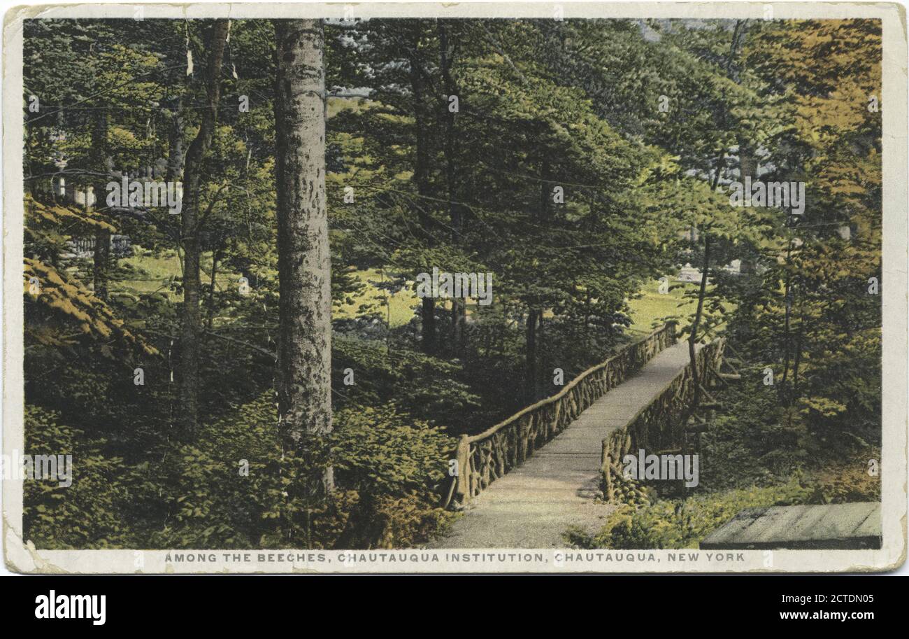 Tra le Beeches, Chautauqua Institution, Chautauqua, New York, Still Image, Postcards, 1898 - 1931 Foto Stock