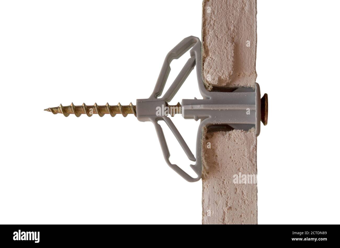 Tassello in plastica a farfalla fissato in foro forato in cartongesso resistente all'umidità, sezione di estremità della lamiera, vista della fibra di gesso e collegamento. Foto Stock