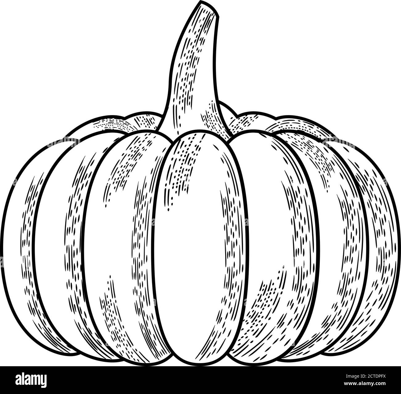 Giorno del Ringraziamento negli Stati Uniti d'America, Canada. Zucca. Stile di incisione Illustrazione Vettoriale