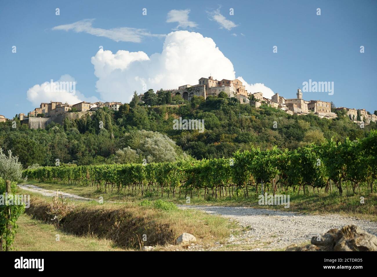 Montagna verde con città storica di Montepulciano, Toscana, Italia, vista dalla valle, un vigneto di fronte, in un pomeriggio soleggiato nel mese di agosto 2020 Foto Stock