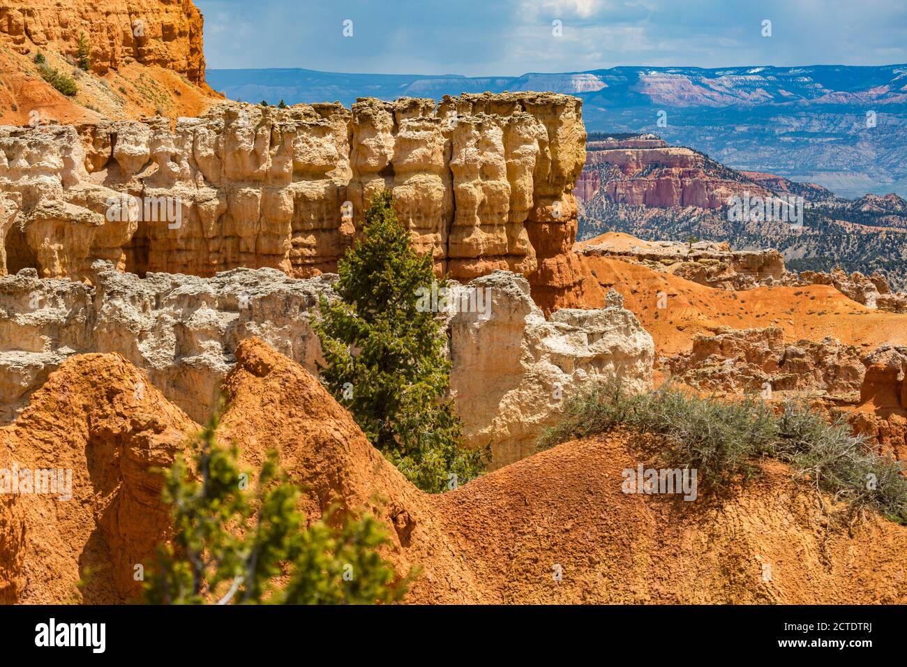 Agua Canyon si affaccia sul Bryce Canyon National Park, Utah Foto Stock