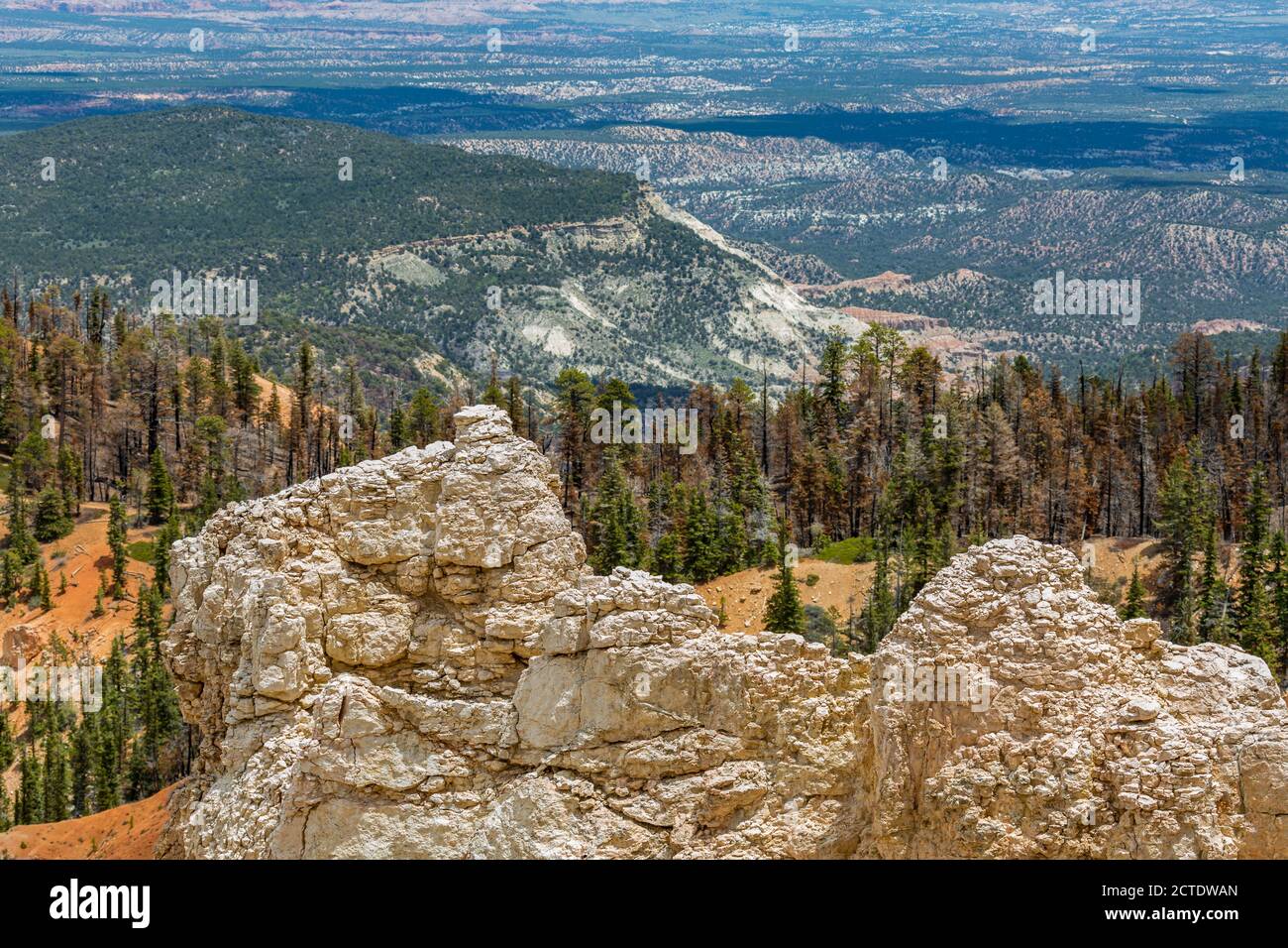 Rainbow Point si affaccia sul Bryce Canyon National Park, Utah Foto Stock