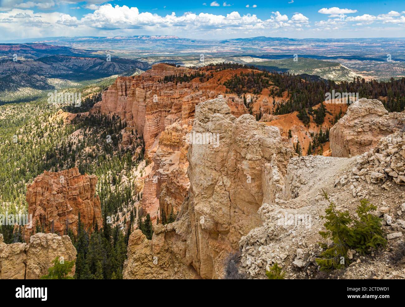 Rainbow Point si affaccia sul Bryce Canyon National Park, Utah Foto Stock