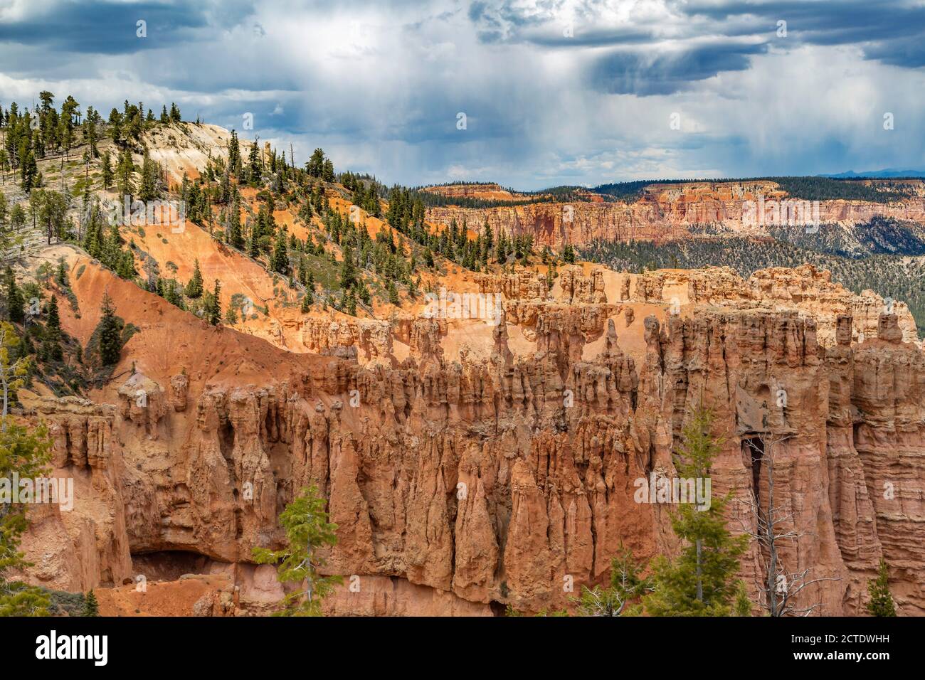 Rainbow Point si affaccia sul Bryce Canyon National Park, Utah Foto Stock