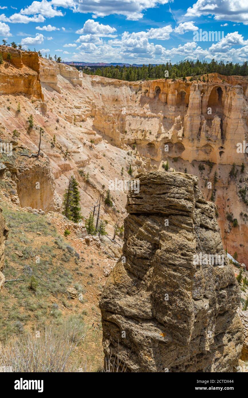 Brice Point si affaccia sul Bryce Canyon National Park, Utah Foto Stock