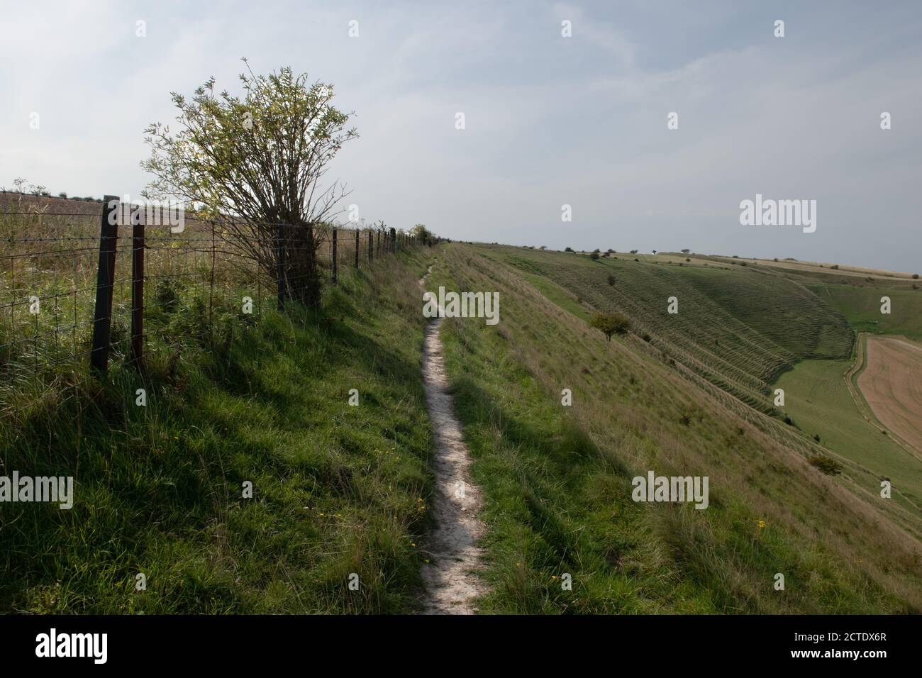 La scarpata settentrionale della pianura di salisbury vicino a westbury, wiltshire. Foto Stock