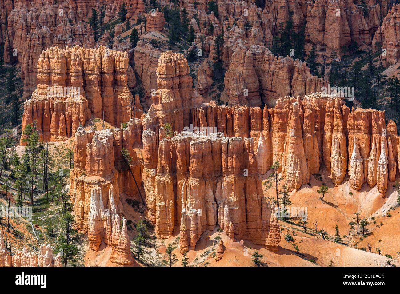 Brice Point si affaccia sul Bryce Canyon National Park, Utah Foto Stock