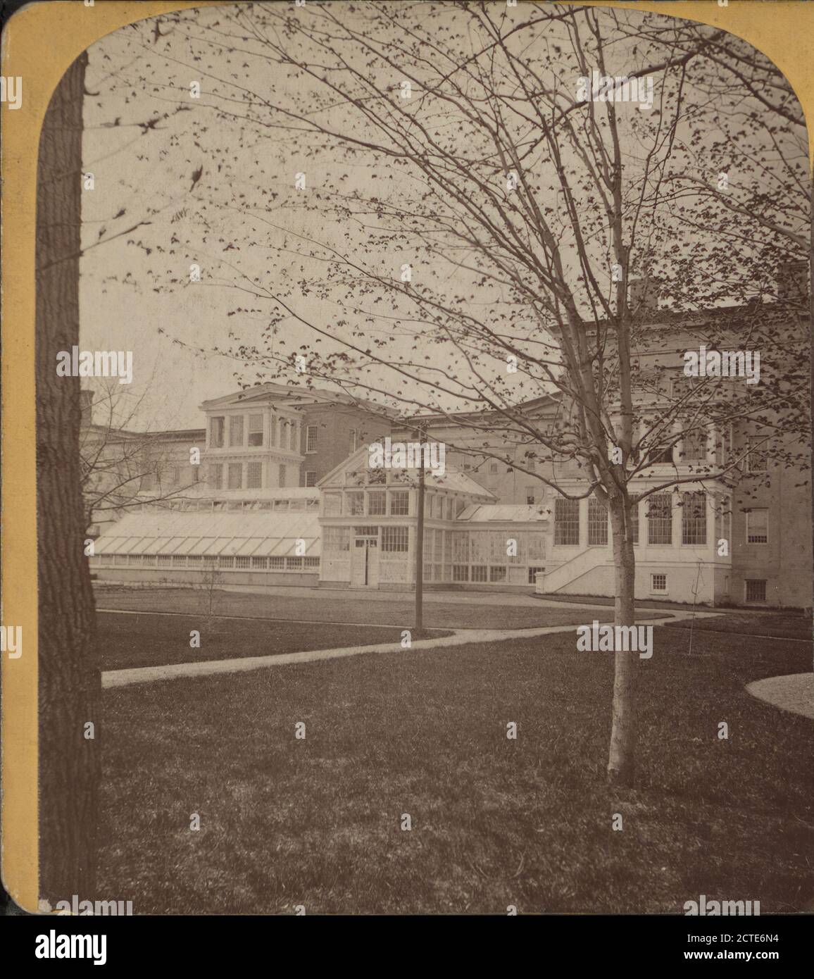 Vista da un giardino., Williams, L. B. (1833-1907 ), 1866, New York (Stato), Utica (N. Y Foto Stock