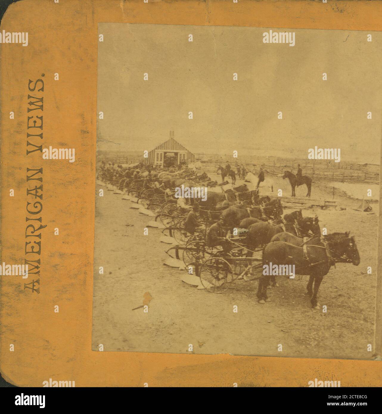 Pronto per l'aratura con un paio di cavalli., North Dakota Foto Stock