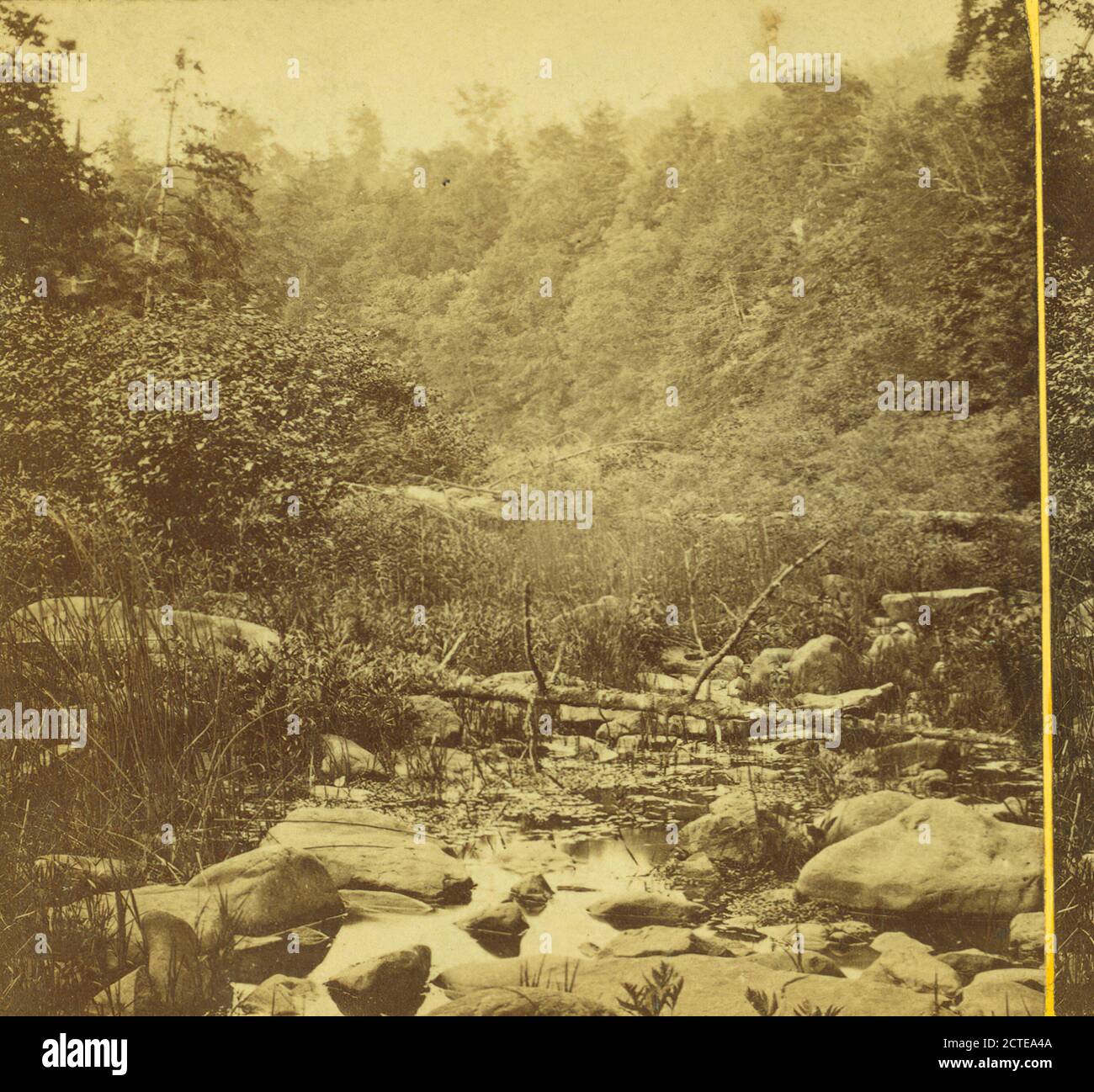 Conemaugh River., Moran, John (1831-1903), Pennsylvania Foto Stock