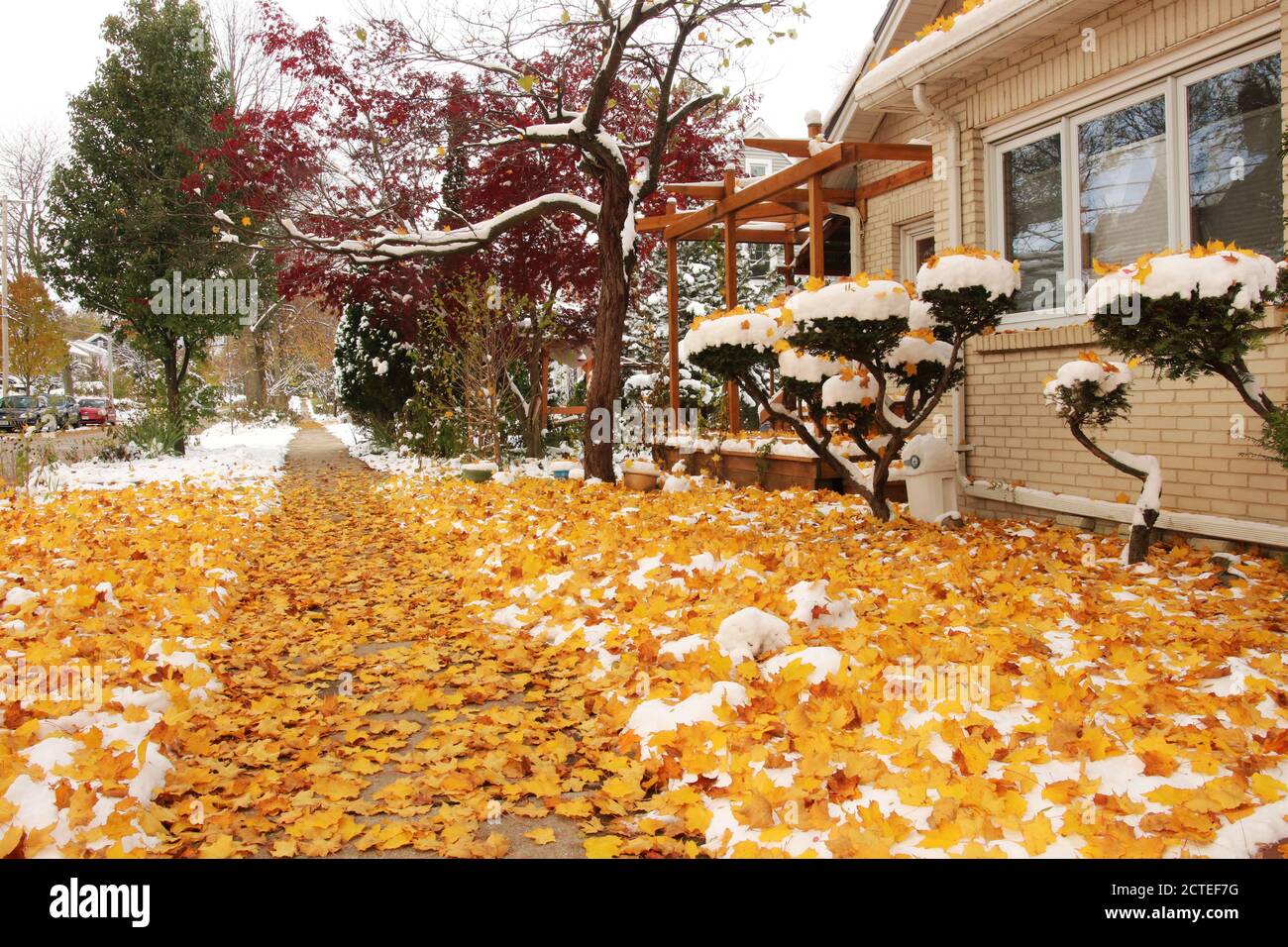 Primo sfondo della neve, concetto di cambiamento climatico. Paesaggio panoramico del mattino con alberi di colore brillante autunno e strada coperta da fresca prima neve. Foto Stock