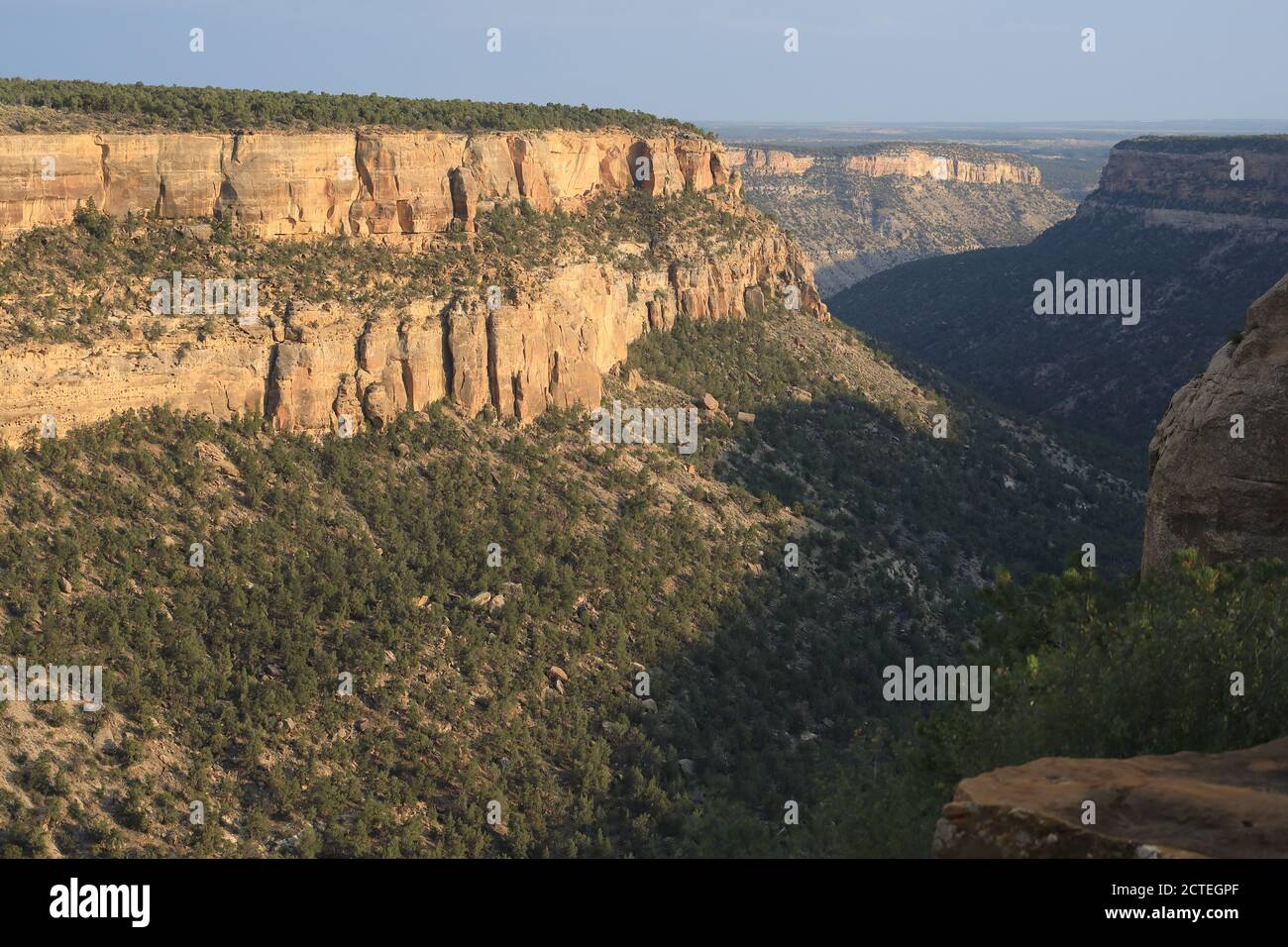 Canyon di Mesa Verde Foto Stock