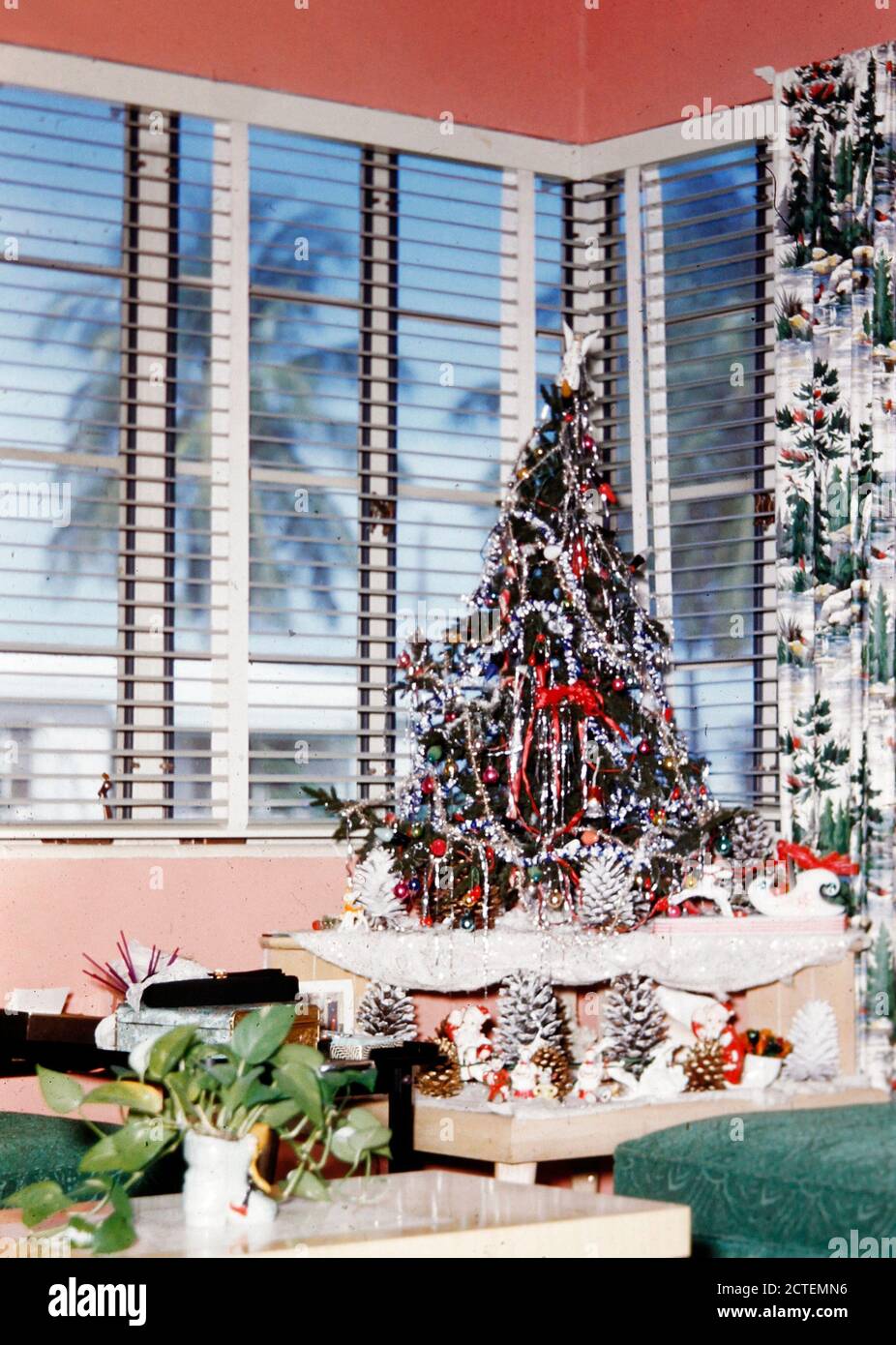 Natale alle Hawaii, circa 1960 - un albero di Natale allestito in una stanza con palme in vista dalla finestra Foto Stock