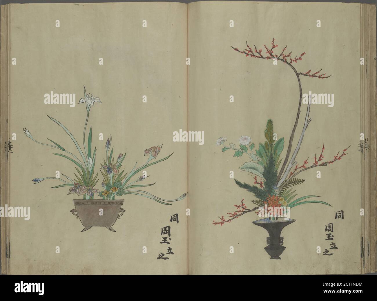 Rikka zu = arrangiamenti floreali, testo, illustrazioni, 1673 Foto Stock