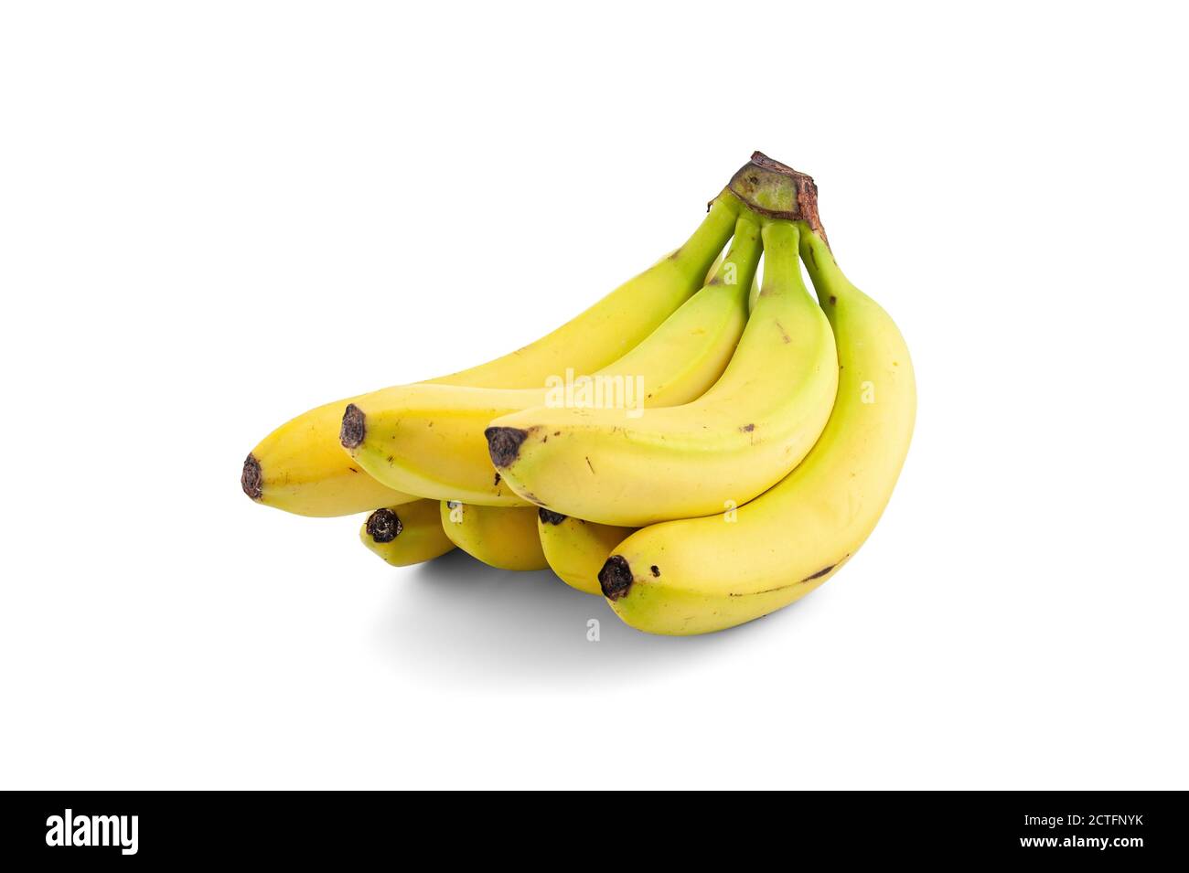 Un mazzo di banane Cavendish isolate su sfondo bianco. Foto Stock