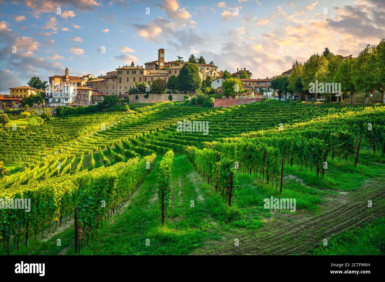 Villaggio di Neive e vigneti delle Langhe, sito UNESCO, Piemonte, Italia settentrionale Europa. Foto Stock