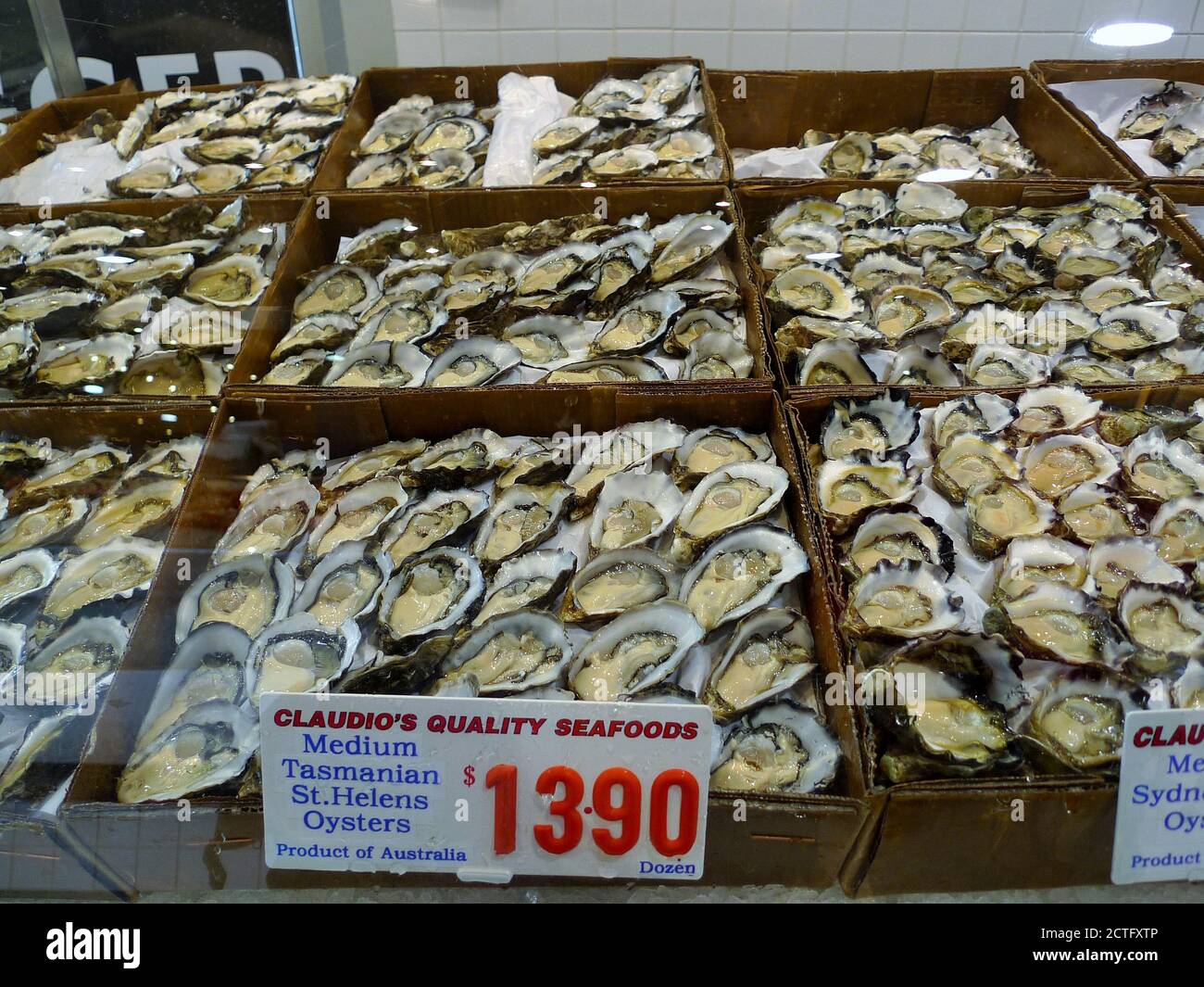 MOLTE OSTRICHE SU IC PER LA VENDITA AL MERCATO DEL PESCE Foto Stock
