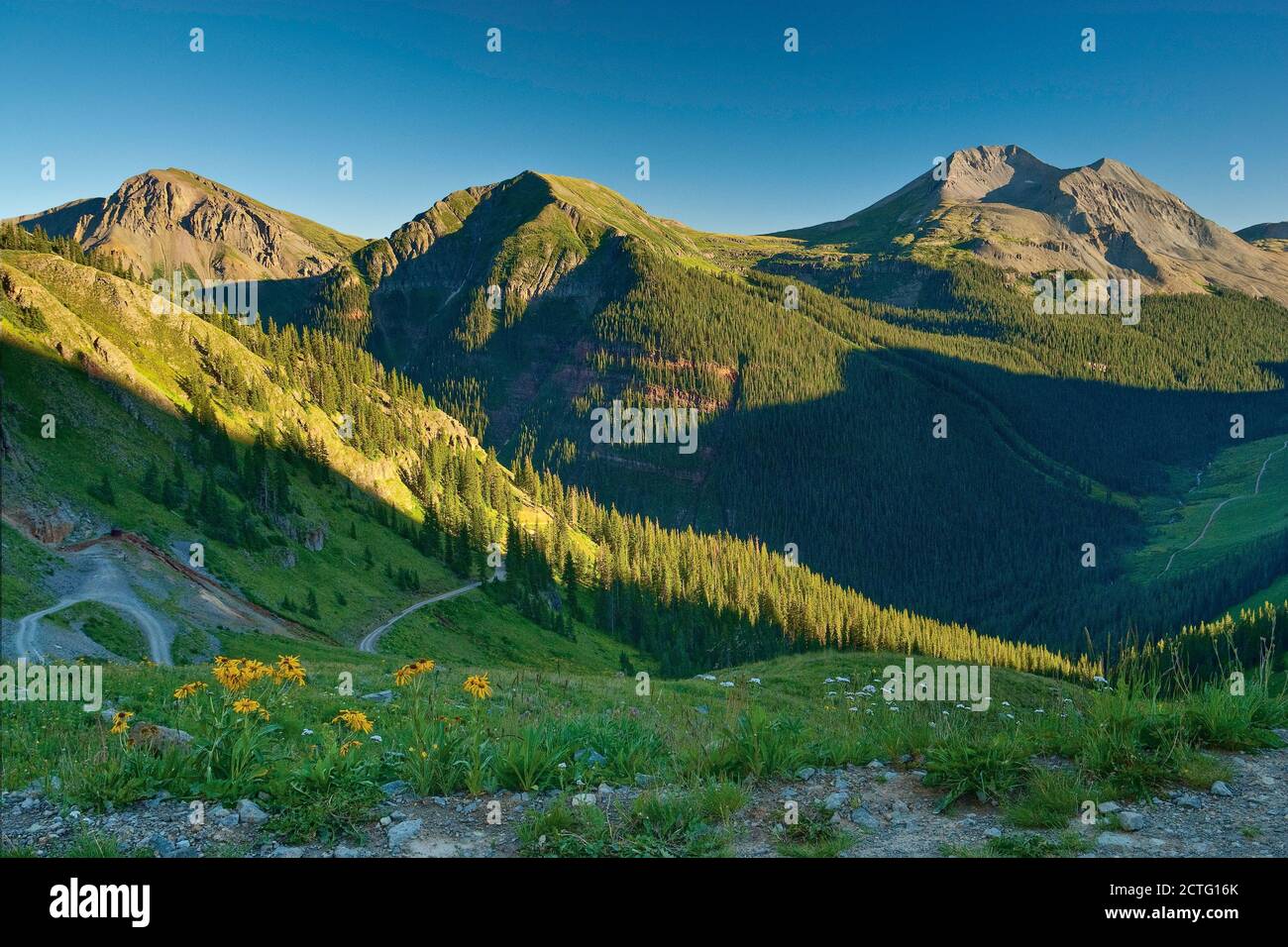 San Juan Mountains, girasoli, vista al tramonto dalla strada per Clear Lake, Colorado, Stati Uniti Foto Stock