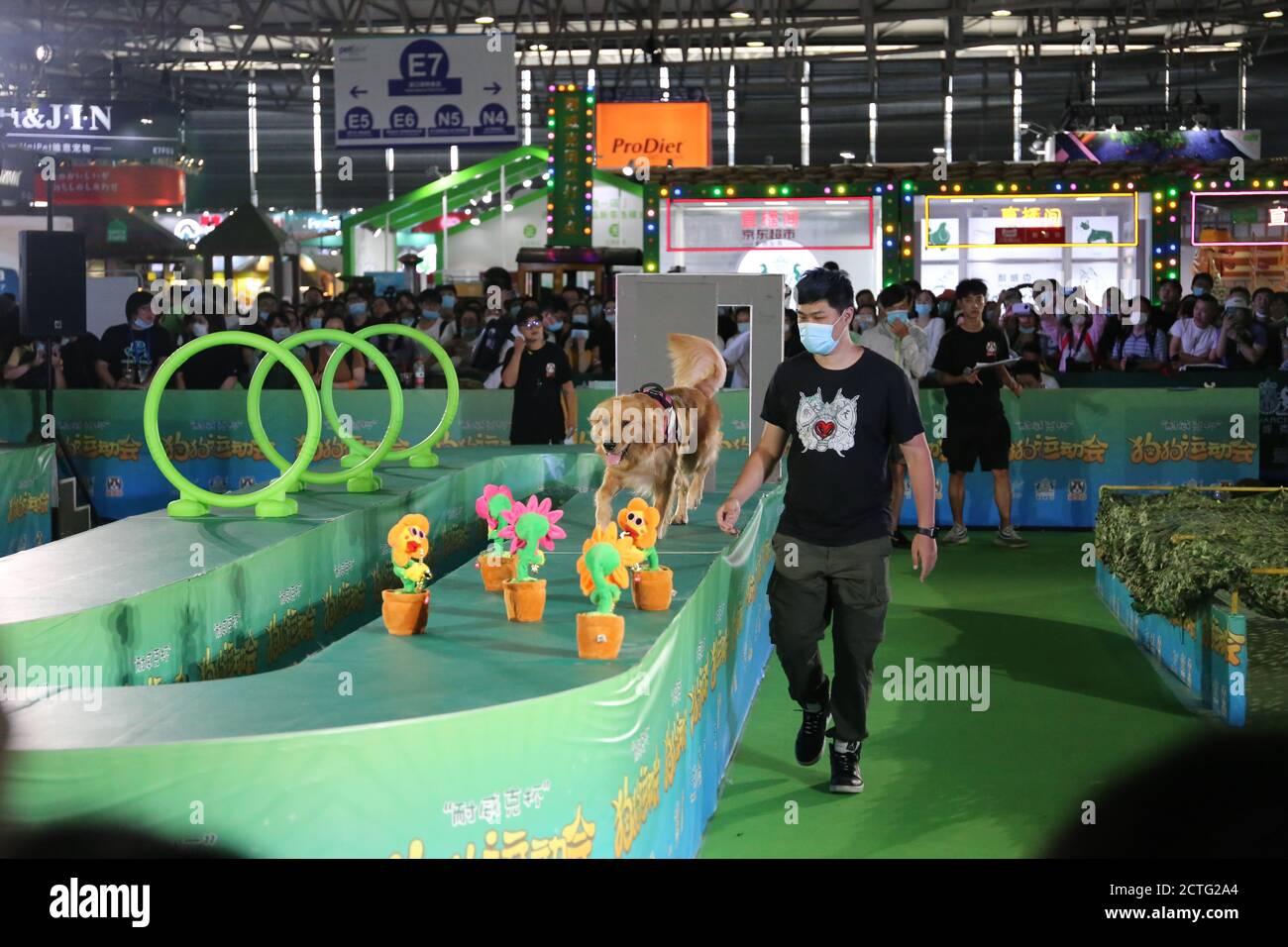 Un proprietario del cane e un cane partecipano alla gara di gioco di sport del cane alla fiera del 2020 dell'animale domestico a Shanghai, Cina, 23 agosto 2020. Foto Stock