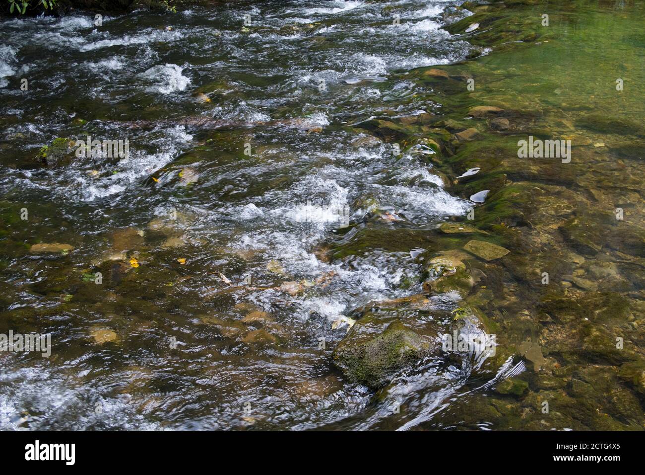 Acque fluviali poco profonde che scorrono su rocce Foto Stock