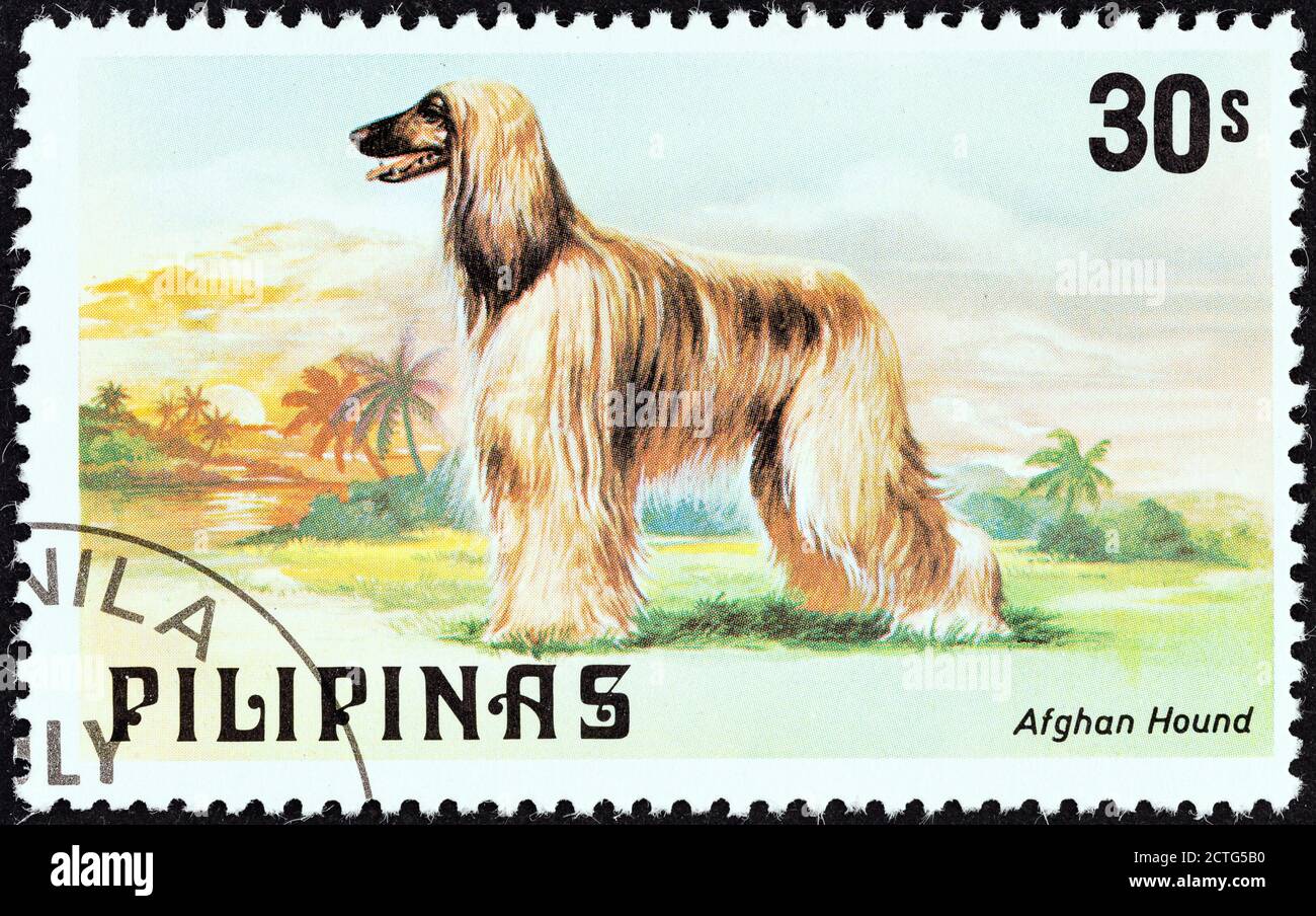 FILIPPINE - CIRCA 1979: Un francobollo stampato nelle Filippine dal numero 'Cats and Dogs' mostra un tumulo afghano, circa 1979. Foto Stock