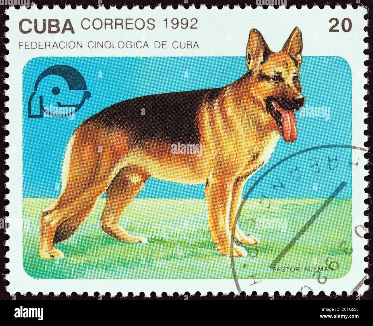 CUBA - CIRCA 1992: Un francobollo stampato a Cuba dal numero 'Dogs' mostra il pastore tedesco, circa 1992. Foto Stock