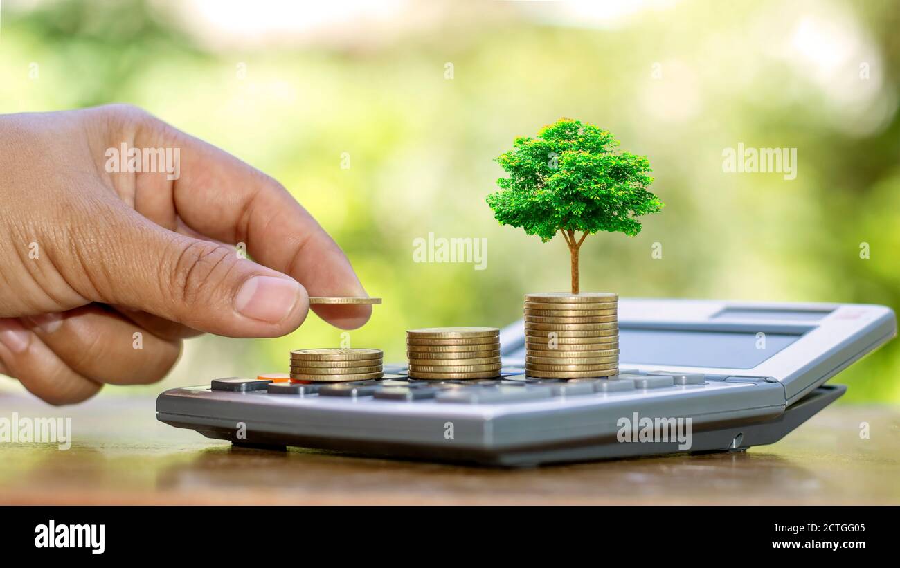 Piantare alberi su monete e calcolatrici, concetti di contabilità finanziaria e risparmiare denaro. Foto Stock