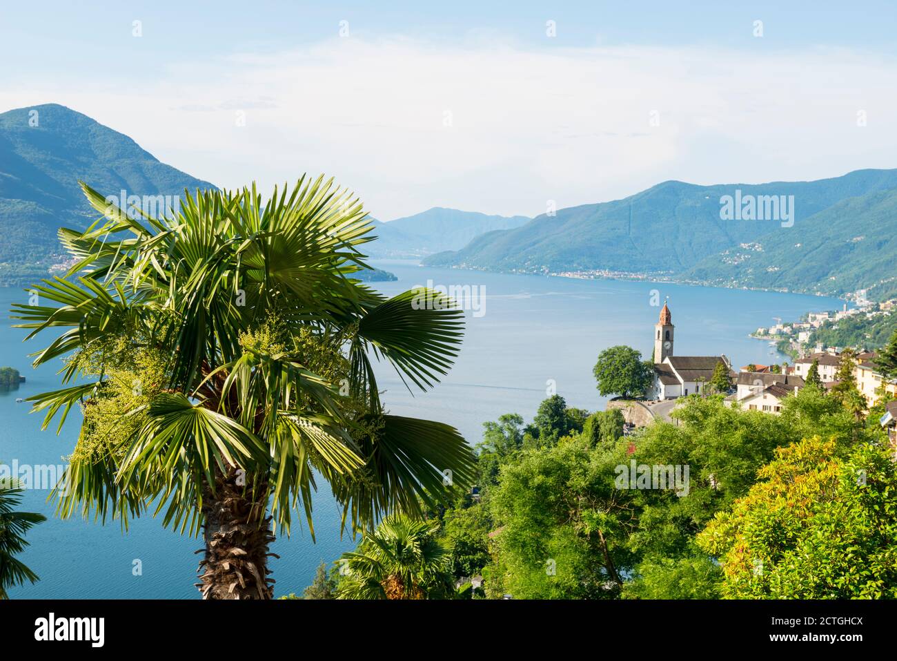 Chiesa e palma sul Lago Alpino maggiore con montagna a Ronco sopra Ascona, Svizzera. Foto Stock Chiesa e palma sul Lago Alpino maggiore con montagna a Ronco sopra Ascona, Svizzera. Foto Stock