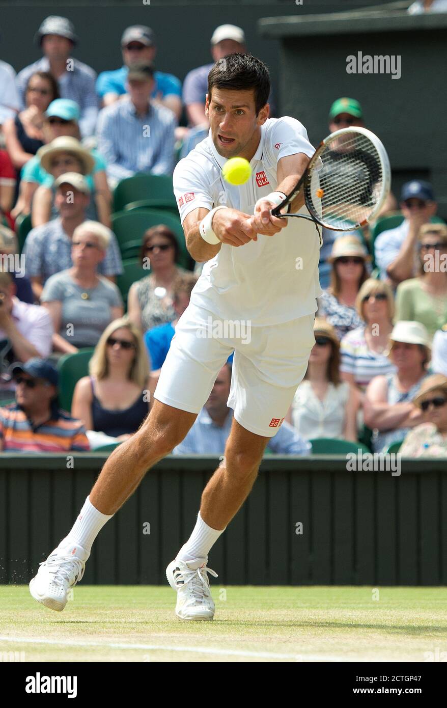 NOVAK DJOKOVIC DJOKOVIC V DEL POTRO. MENS SEMI-FINAL WIMBLEDON CHAMPIONSHIPS 2013 PICTURE CREDIT : © MARK PAIN / ALAMY Foto Stock