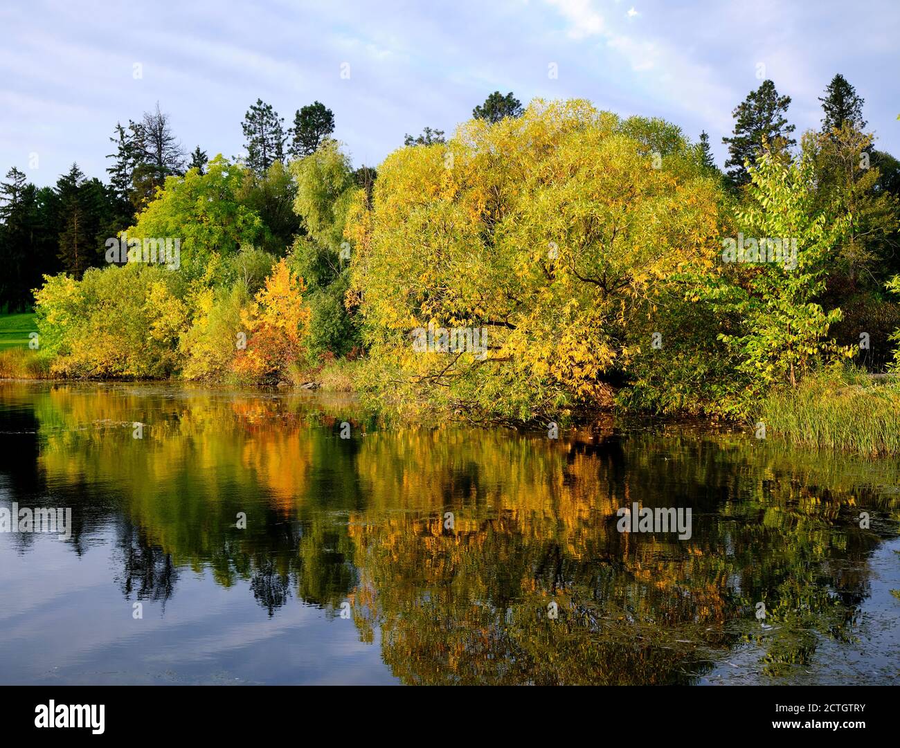 Ottawa, Canada. 23 settembre 2020. Il primo giorno intero dell'autunno, le foglie iniziano a cambiare gli alberi lungo il lago Dow, parte dei canali del canale Rideau nella capitale della nazione. Credit: Meanderingemu/Alamy Live News Foto Stock