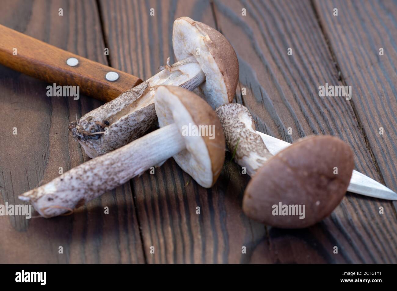 Tagliare i funghi di boleto e un coltello con un manico di legno su sfondo di legno, primo piano, fuoco selettivo. Vendemmia autunnale, doni della natura Foto Stock