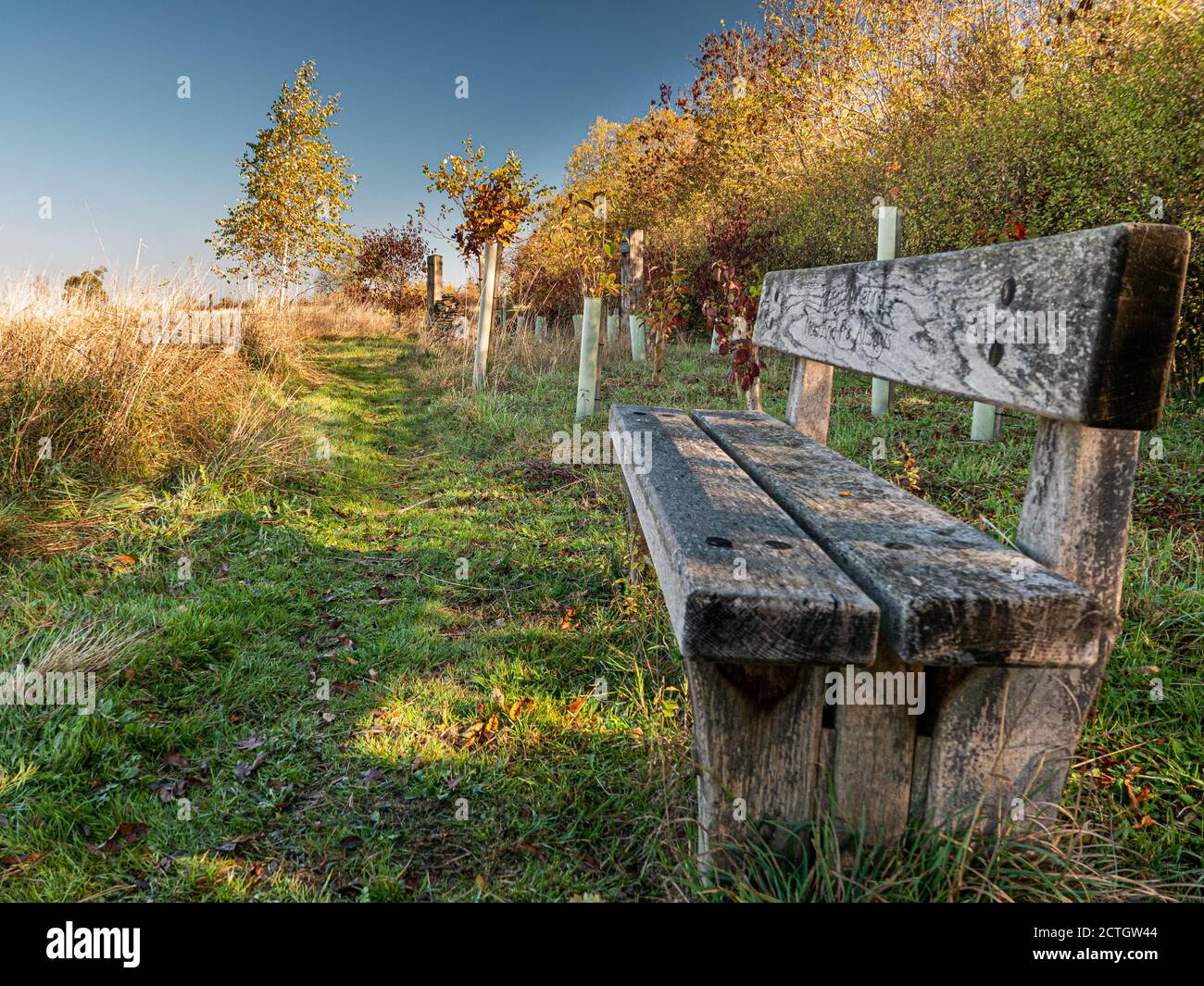 Una panca rustica in legno situata in un terreno di sepoltura naturale Warwickshire Inghilterra Regno Unito Foto Stock