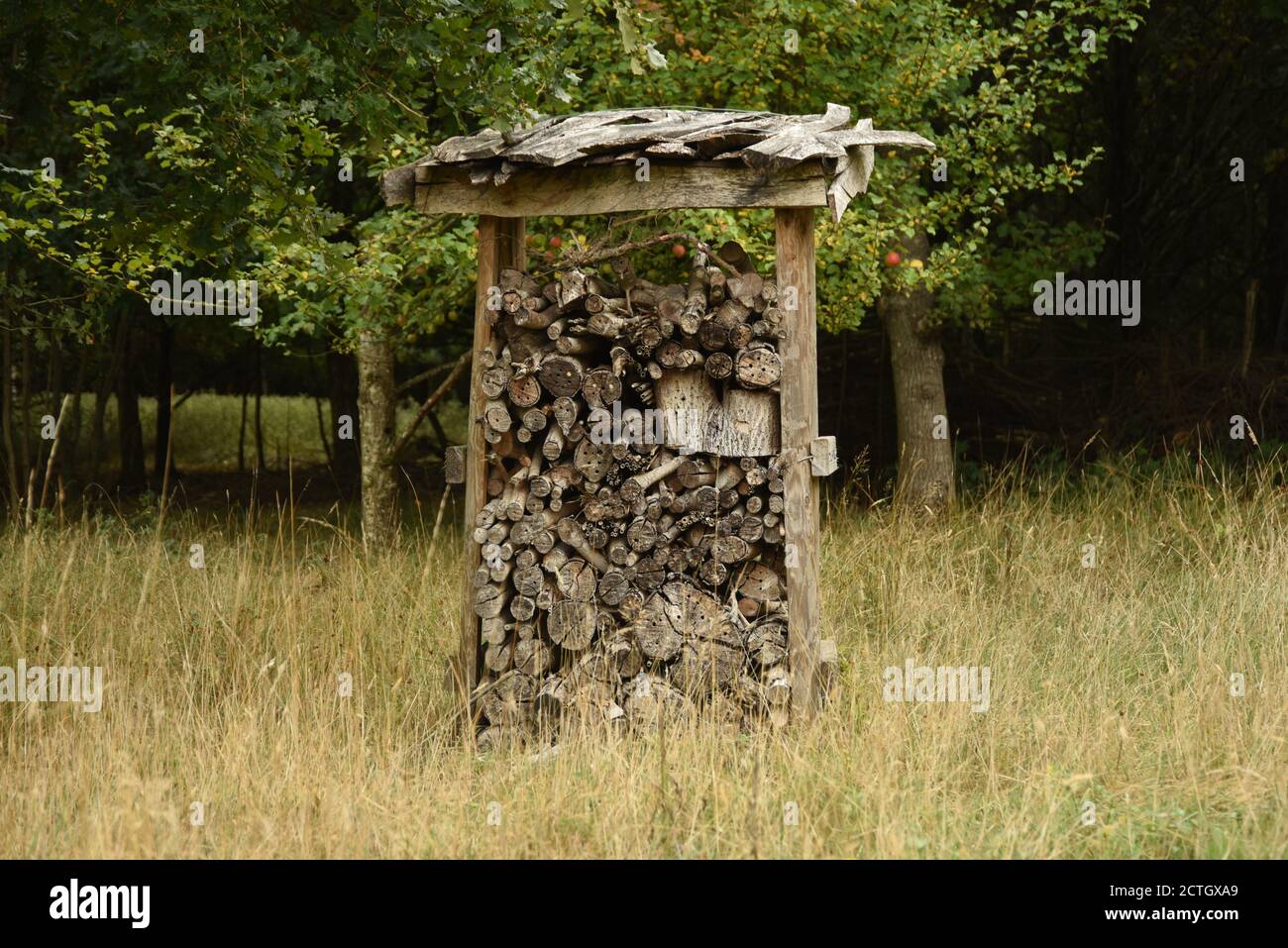 Hotel di bug Foto Stock