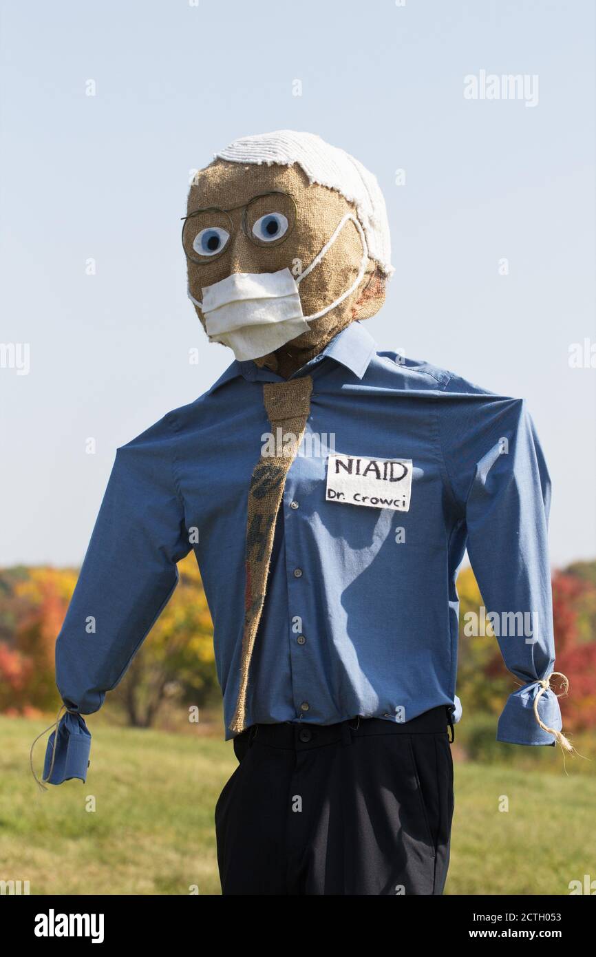 Un Dr. Fauci look-Alike scarecrow di 'Valerie', una voce nel concorso di scarecrow 2020 al Minnesota Landscape Arboretum. Foto Stock