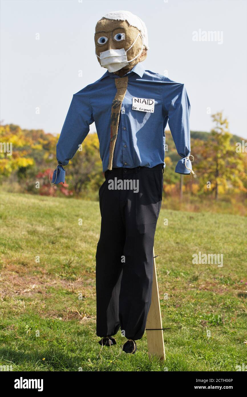 Un Dr. Fauci look-Alike scarecrow di 'Valerie', una voce nel concorso di  scarecrow 2020 al Minnesota Landscape Arboretum Foto stock - Alamy