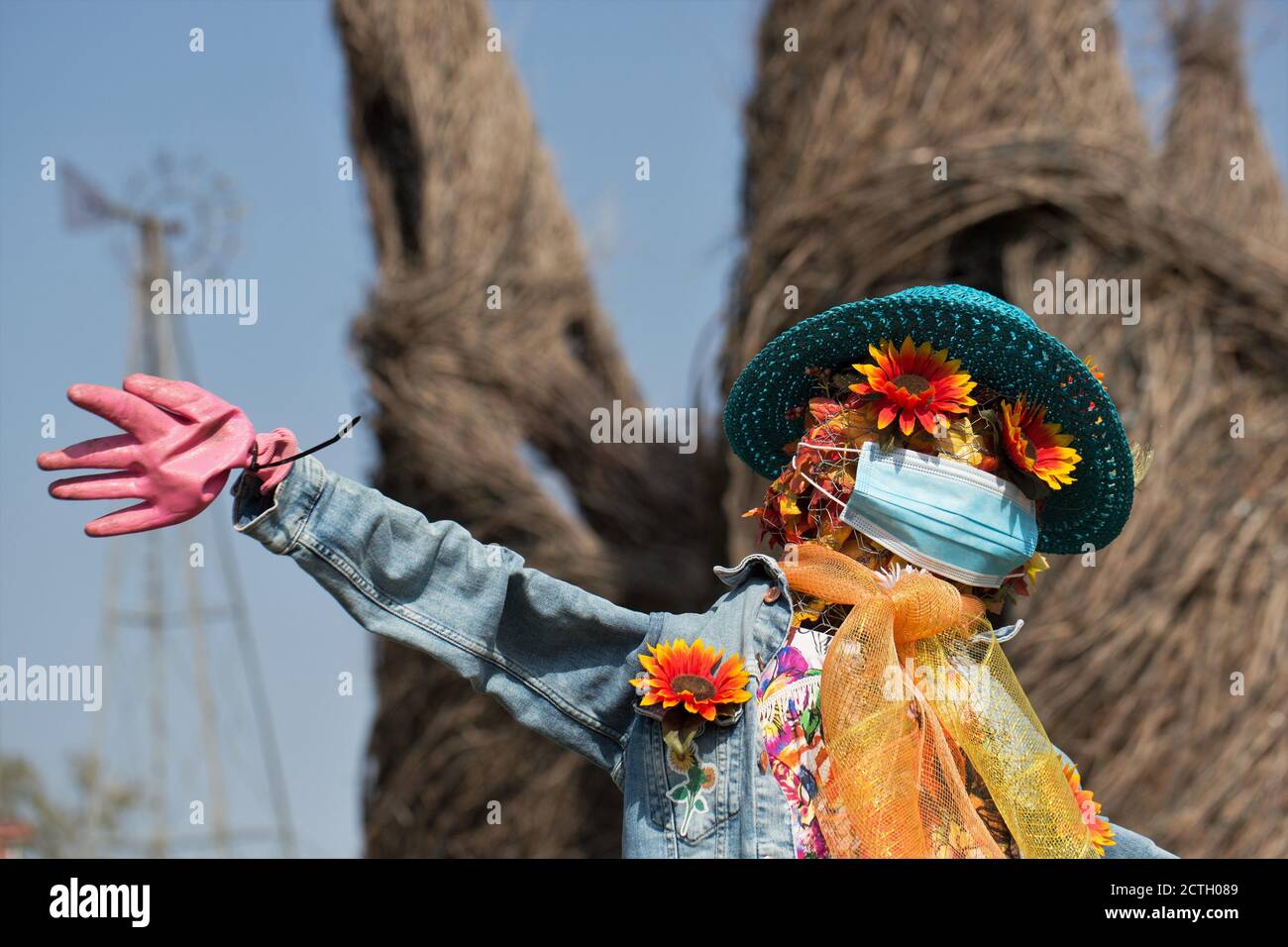 'Miss Chrysanthemum', di 'Wendy C', uno scarecrow che indossa una maschera, al concorso di scarecrow 2020 al Minnesota Landscape Arboretum. Foto Stock