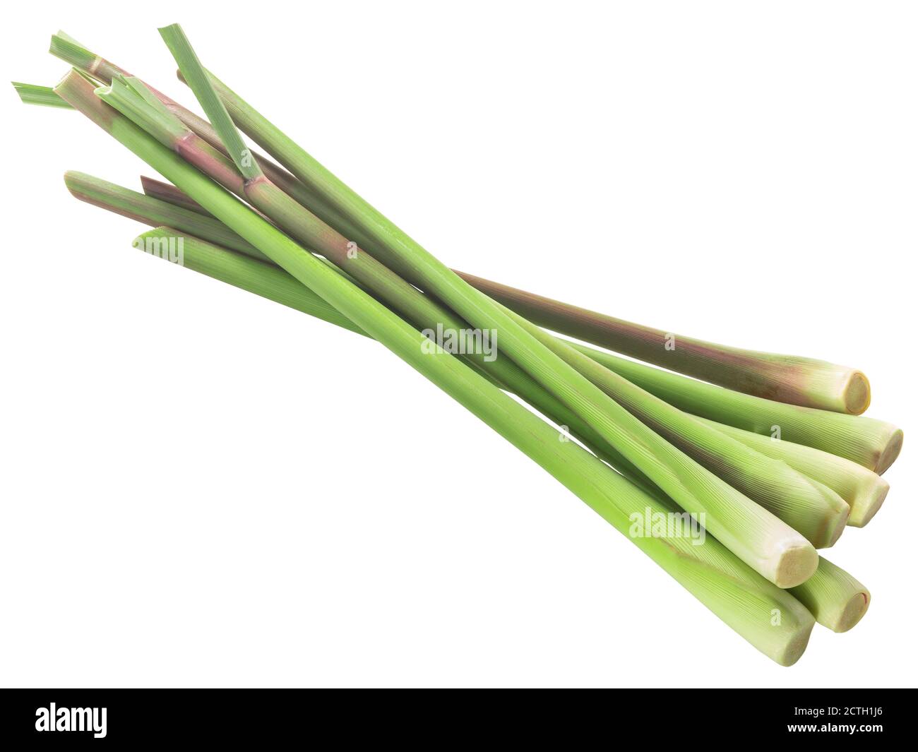 Cumulo di steli di citrato di limongrass tagliati (Cymbopogon citratus) isolati Foto Stock