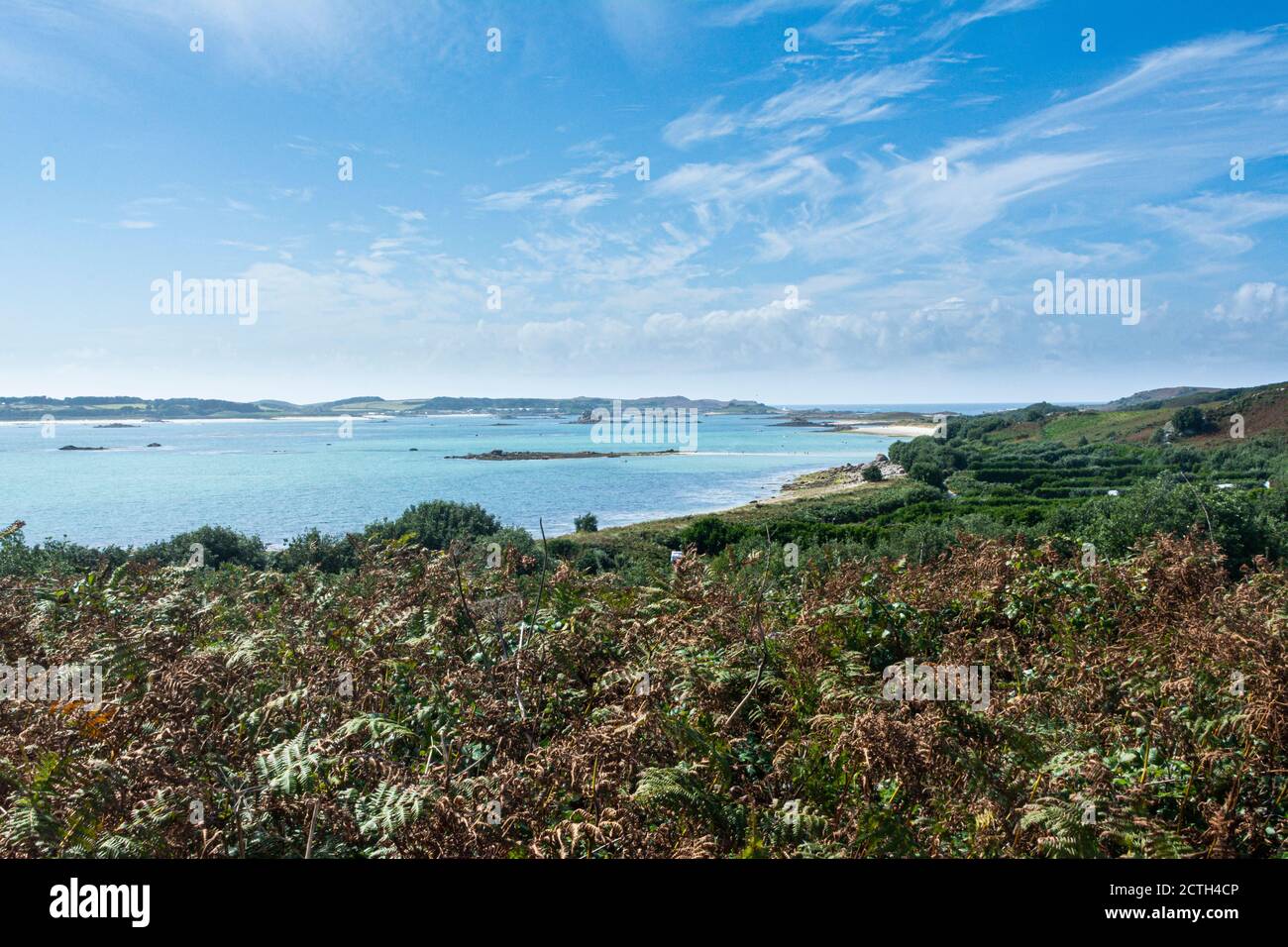 Vista da vicino a Città alta su St Martin's guardando dall'altra parte A Tresco nelle Isole di Scilly Foto Stock