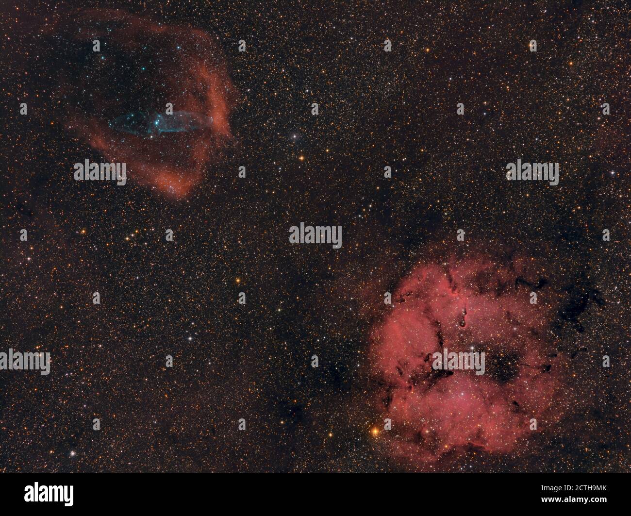 Nebulose nella costellazione del Cefeo: Tronco dell'Elefante, pipistrello volante e calamaro ( IC1396 - SH2-129 - OU4) Foto Stock