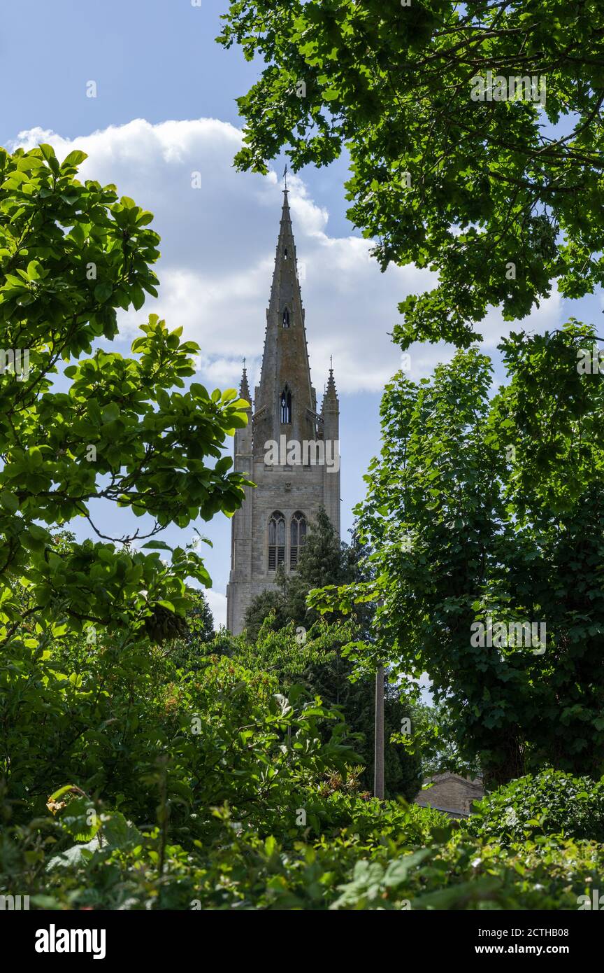 Chiesa guglia di San Giacomo il Grande incorniciata da alberi, Hanslope, Buckinghamshire, Regno Unito; si dice che sia la guglia più alta della contea Foto Stock