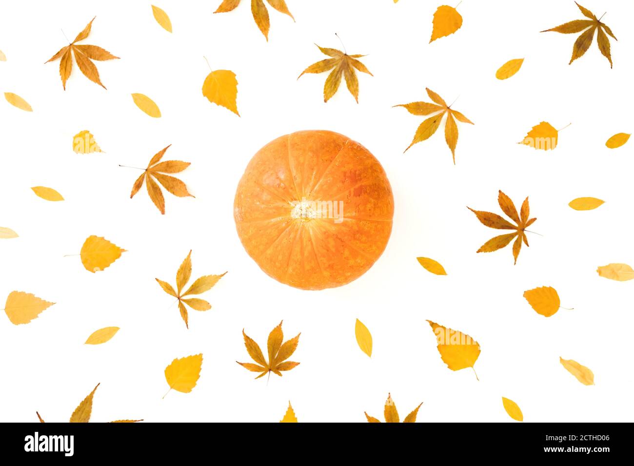Composizione autunnale. Cadere foglie secche e zucche su sfondo bianco. Concetto di giorno di ringraziamento. Disposizione piatta, vista dall'alto Foto Stock