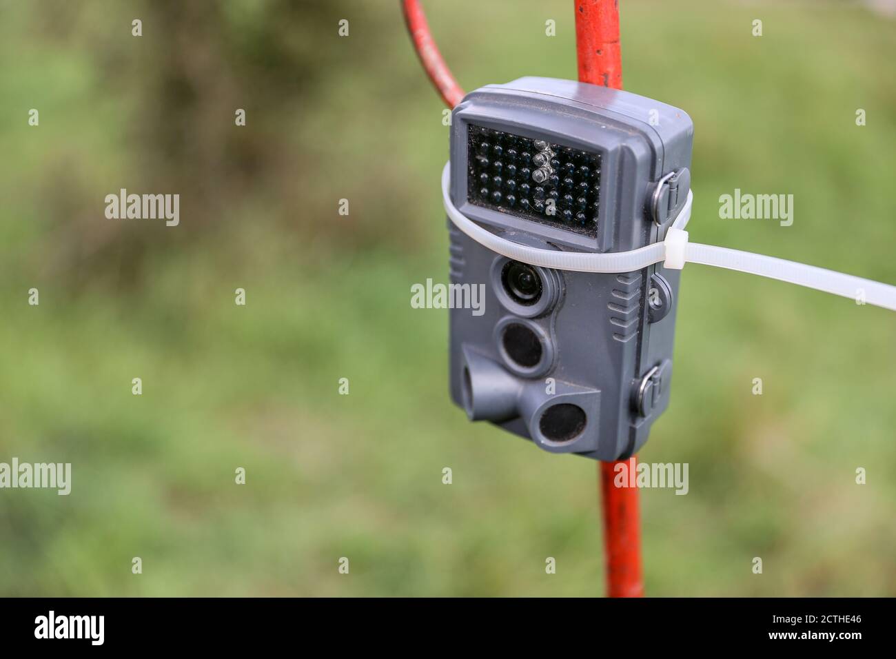 16 settembre 2020, Turingia, Schönewerda: Una telecamera per la fauna selvatica è impostata come una trappola fotografica sulle rive del Unstrut. Foto: Jan Woitas/dpa-Zentralbild/ZB Foto Stock