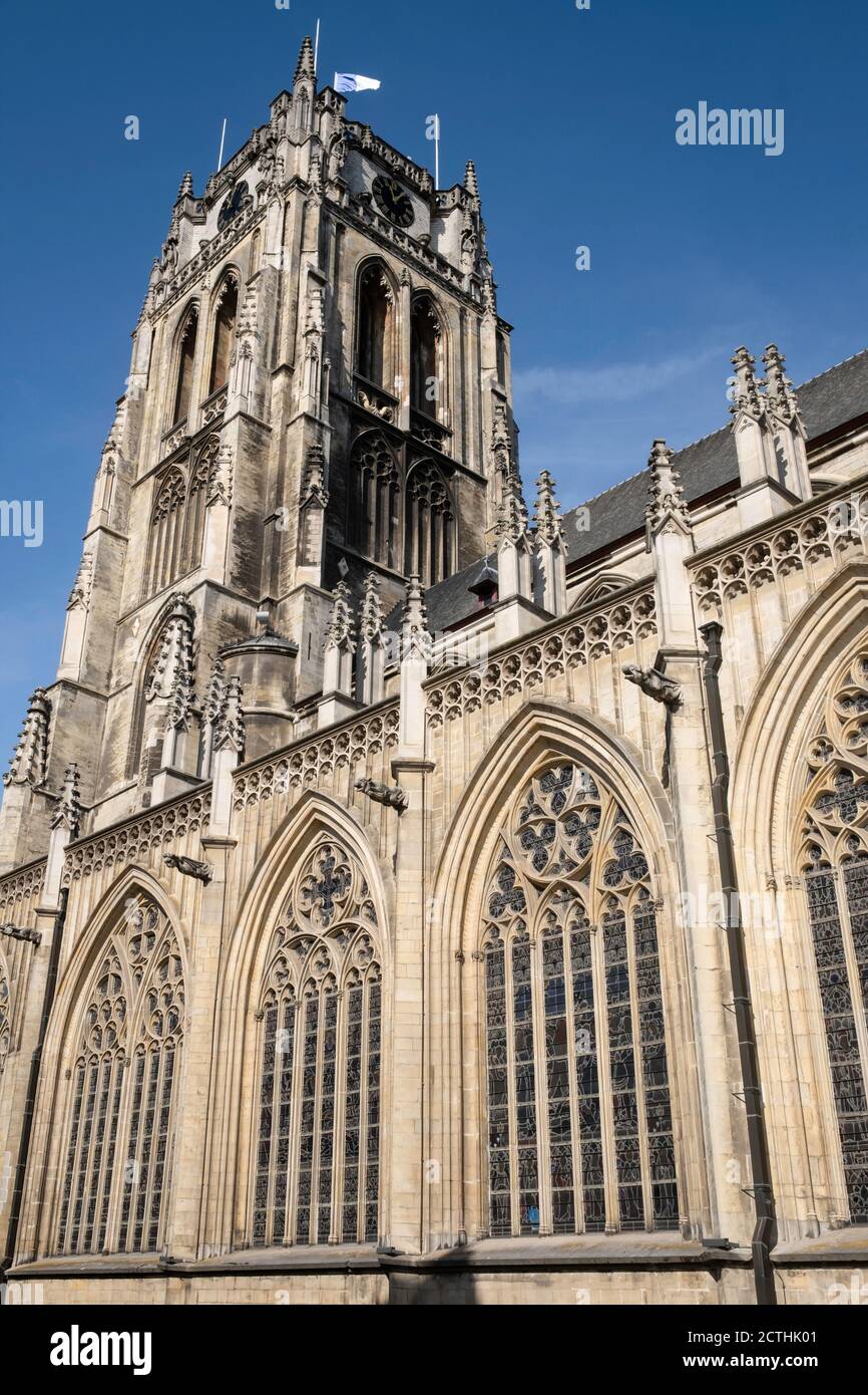 Torre della chiesa gotica Basilica di nostra Signora o Onze-lieve-Vrouwe Basiliek costruito nel 13 °-14 ° secolo a Tongeren, Belgio Foto Stock