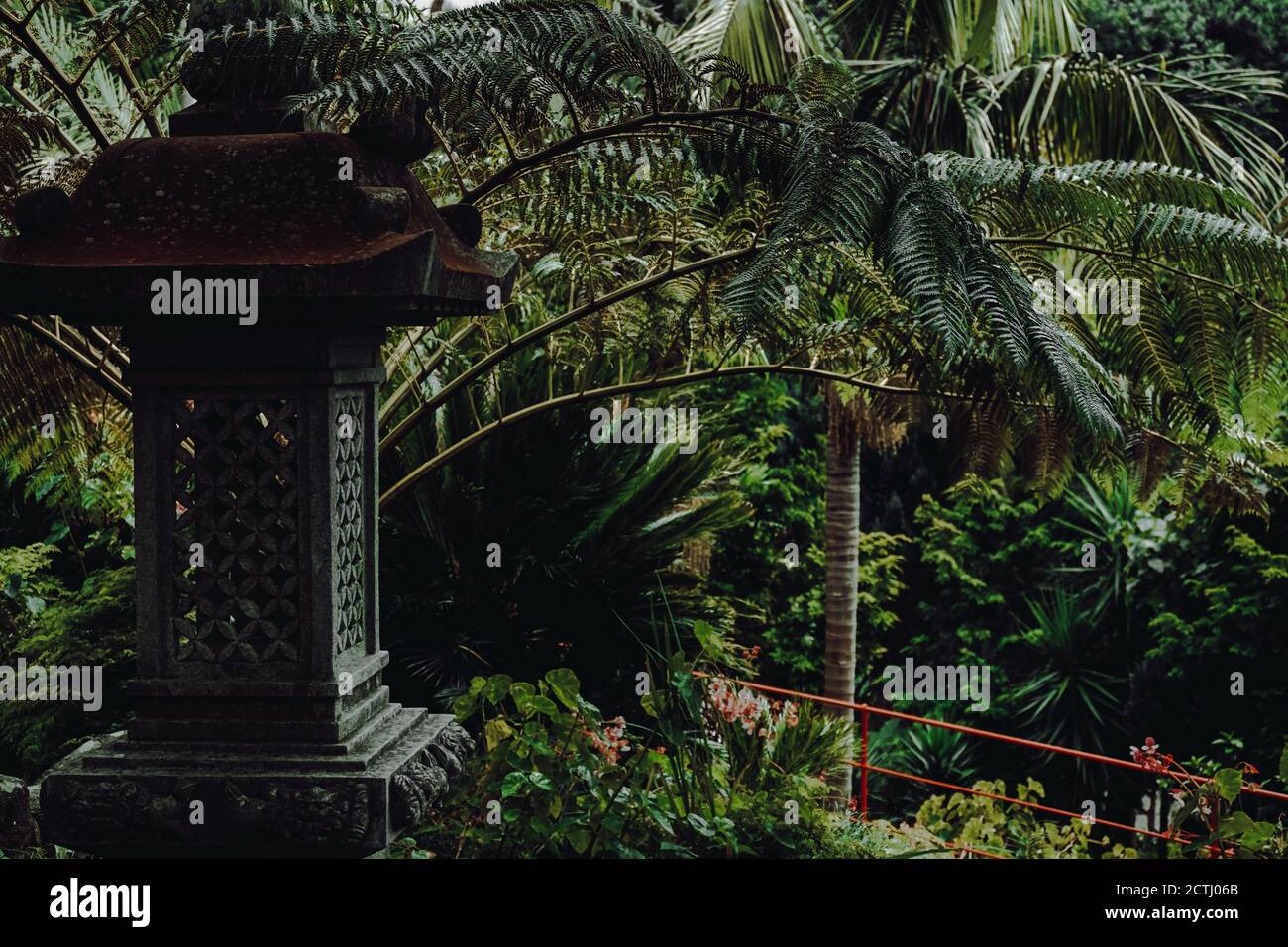 Giardino tropicale scenario Foto Stock