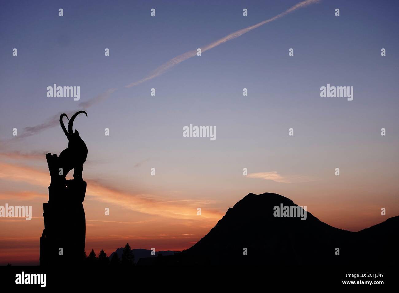 Capricorno al Tramonto con la montagna sullo sfondo, girato a Dachstein, Austria Foto Stock